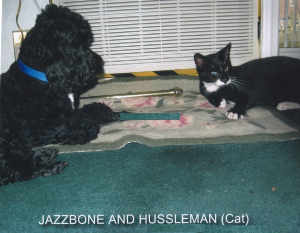 Jazzbone and Hussleman